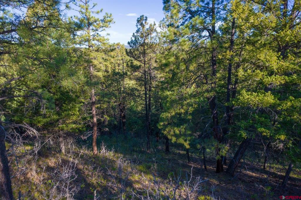 157 Carey's Court Pagosa Springs CO 81147