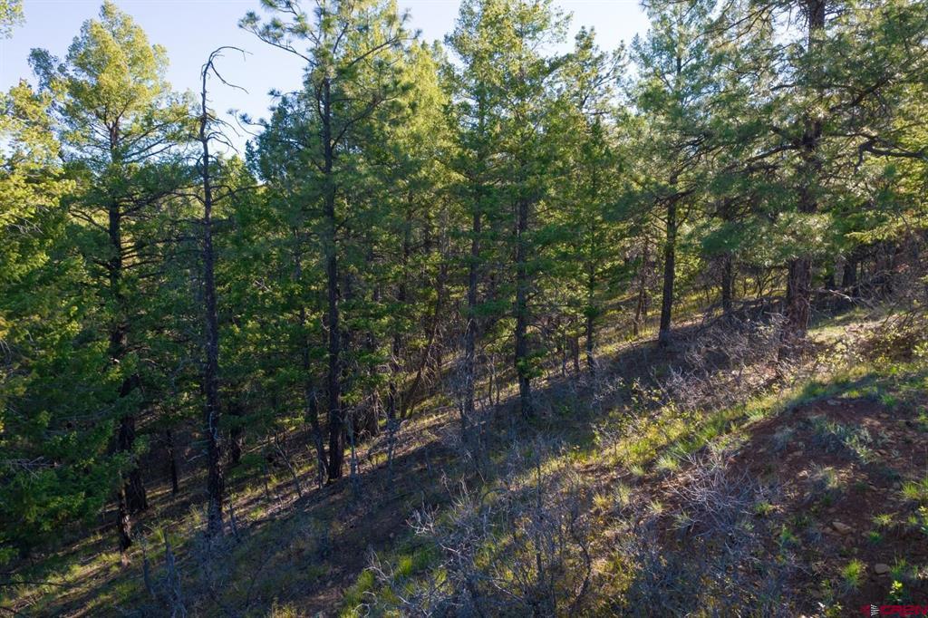 157 Carey's Court Pagosa Springs CO 81147