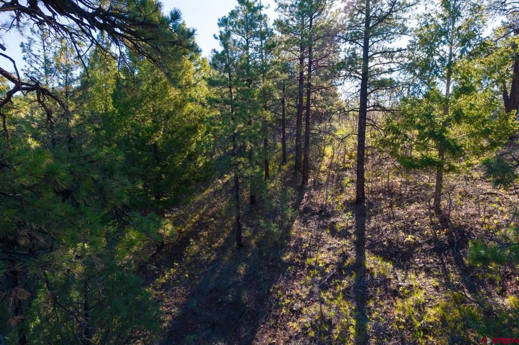 157 Carey's Court Pagosa Springs CO 81147
