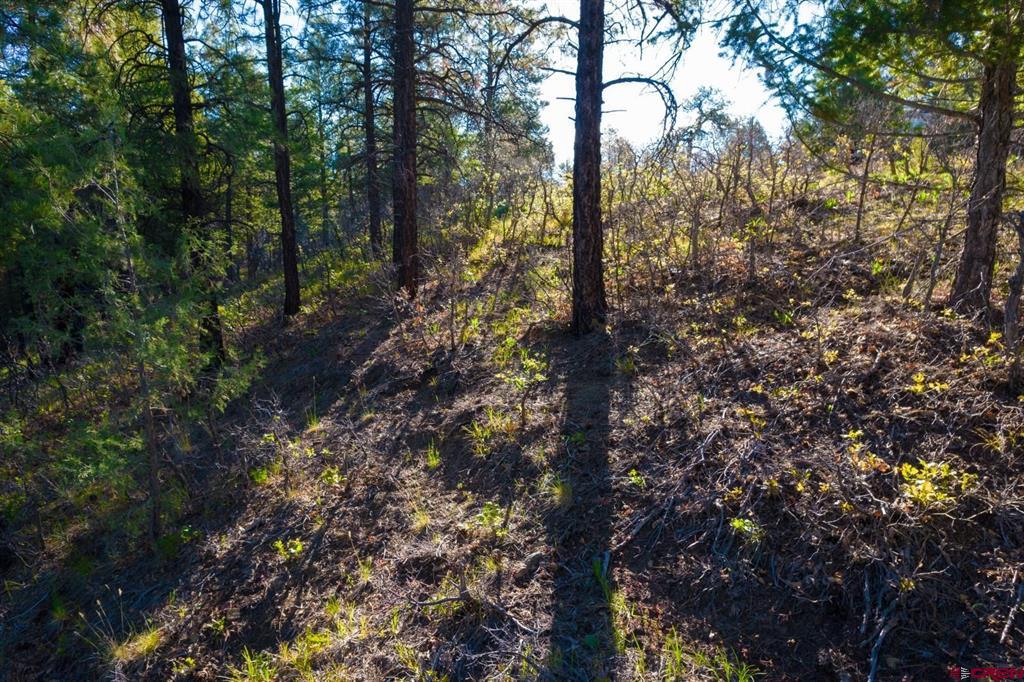 157 Carey's Court Pagosa Springs CO 81147
