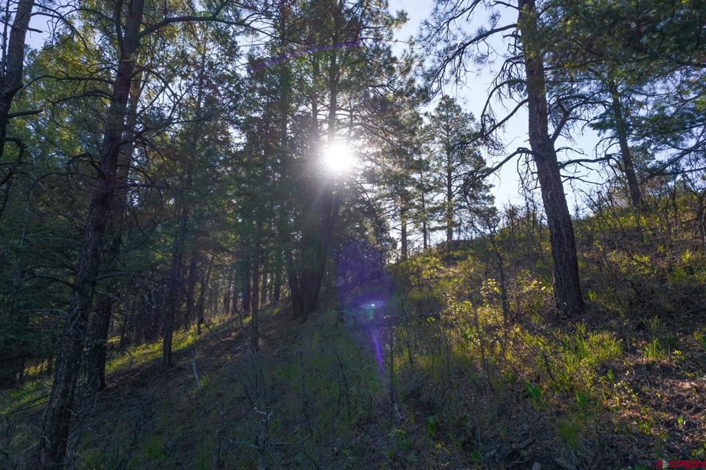 157 Carey's Court Pagosa Springs CO 81147