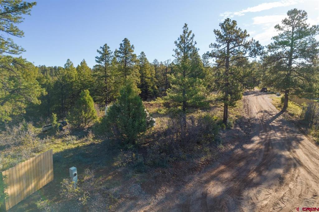 157 Carey's Court Pagosa Springs CO 81147