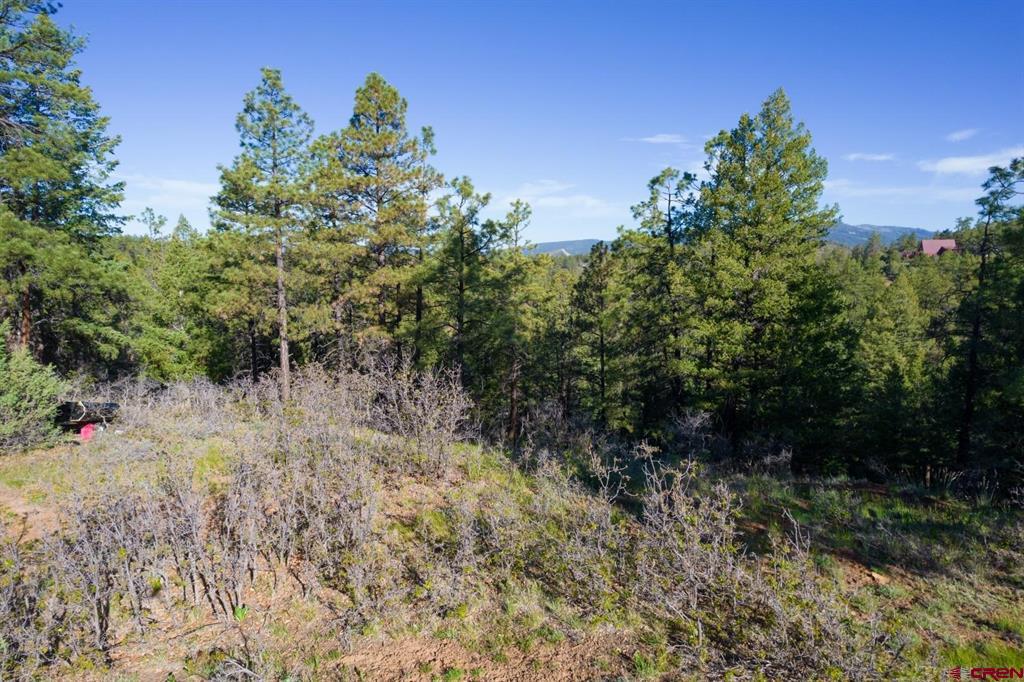 157 Carey's Court Pagosa Springs CO 81147