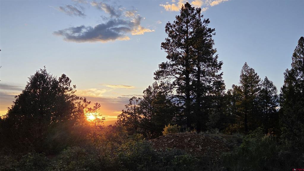 157 Carey's Court Pagosa Springs CO 81147