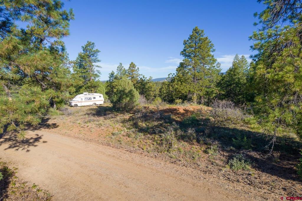 157 Carey's Court Pagosa Springs CO 81147