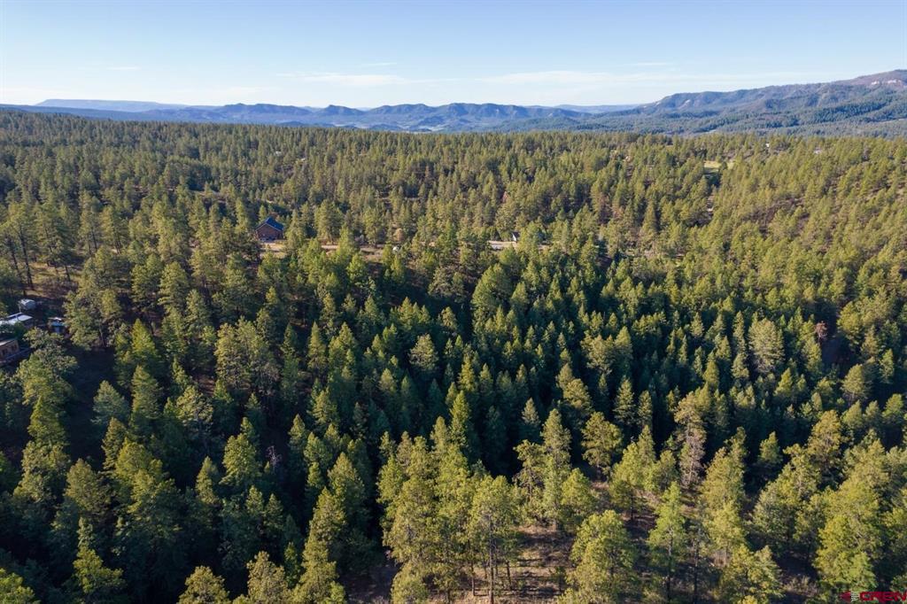 157 Carey's Court Pagosa Springs CO 81147