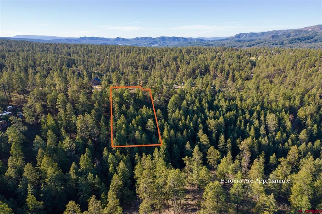 157 Carey's Court Pagosa Springs CO 81147