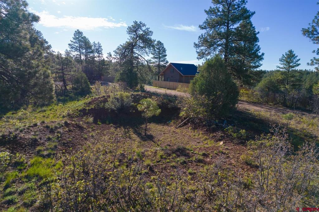 157 Carey's Court Pagosa Springs CO 81147