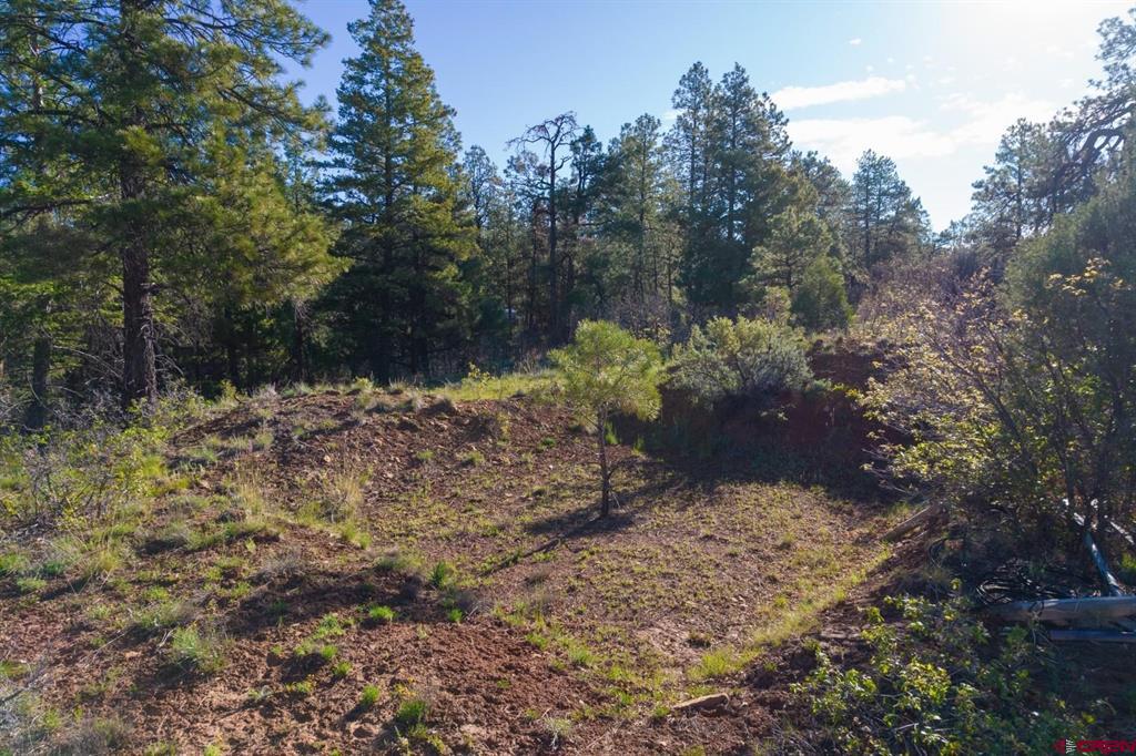 157 Carey's Court Pagosa Springs CO 81147