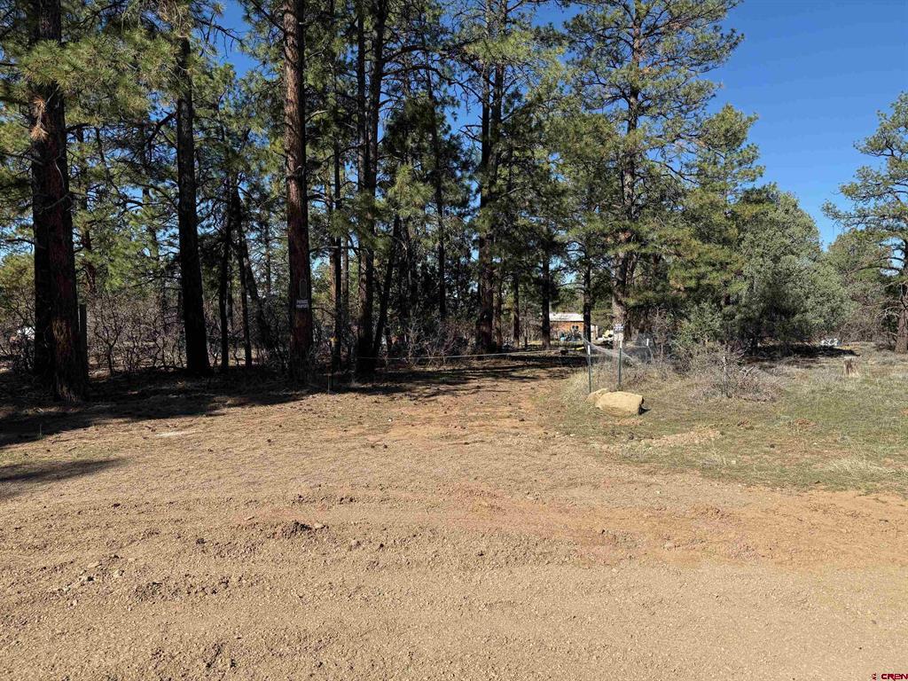143 Hakala Court Pagosa Springs CO 81147