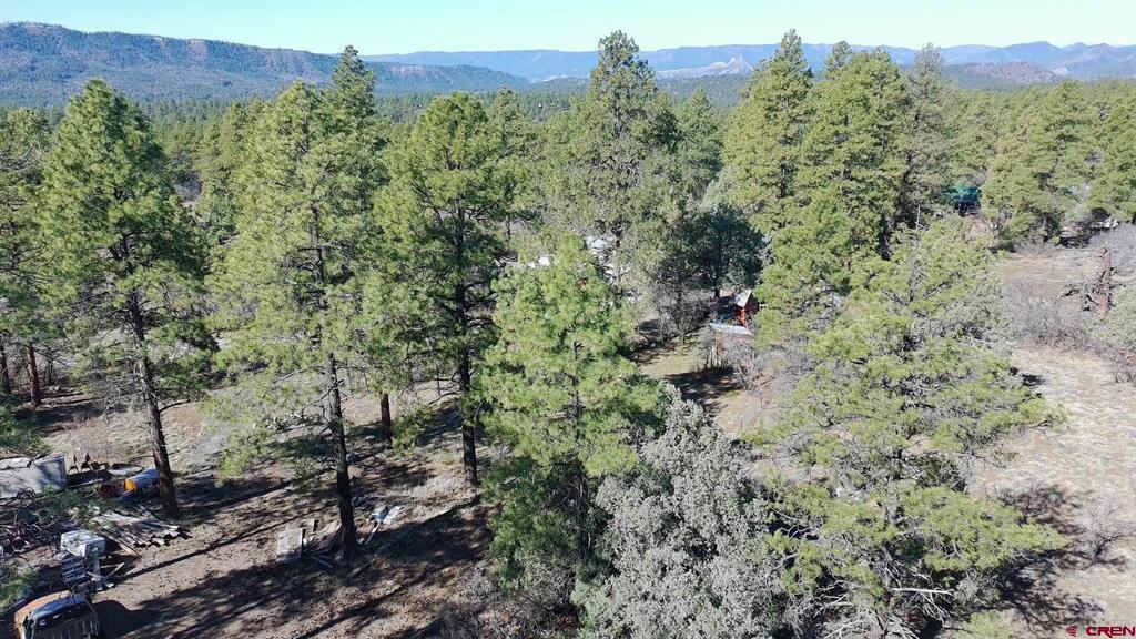 143 Hakala Court Pagosa Springs CO 81147