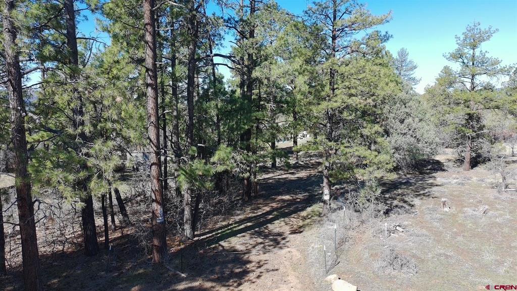 143 Hakala Court Pagosa Springs CO 81147