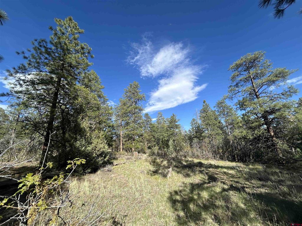 1333 Doc Adams Road Pagosa Springs CO 81147