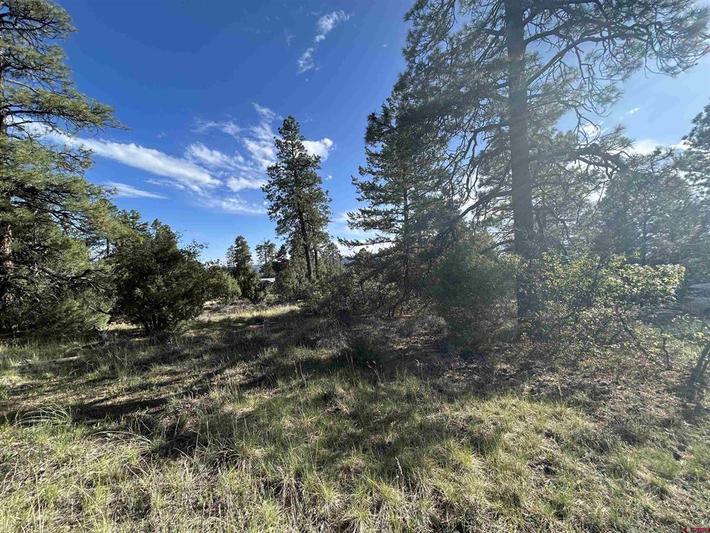 1333 Doc Adams Road Pagosa Springs CO 81147