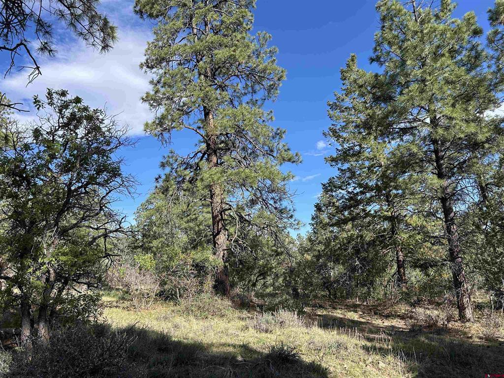 1333 Doc Adams Road Pagosa Springs CO 81147