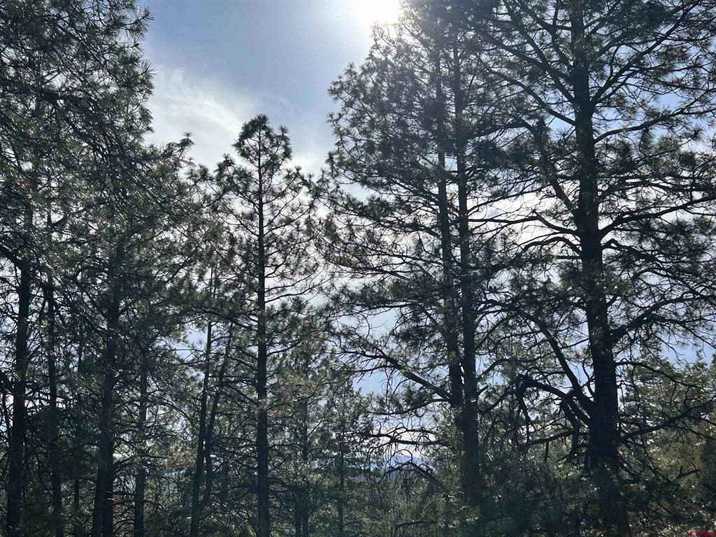 1333 Doc Adams Road Pagosa Springs CO 81147