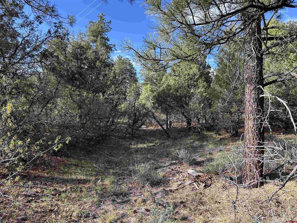 1333 Doc Adams Road Pagosa Springs CO 81147
