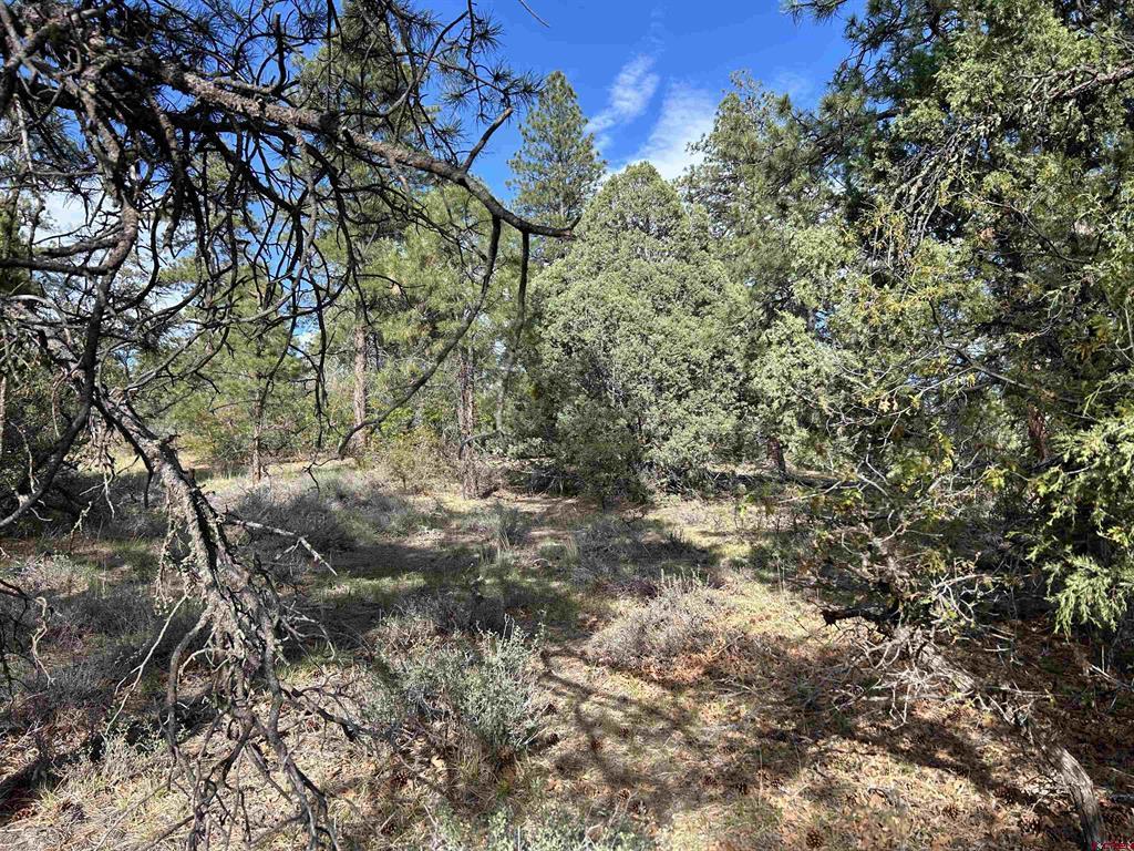1333 Doc Adams Road Pagosa Springs CO 81147