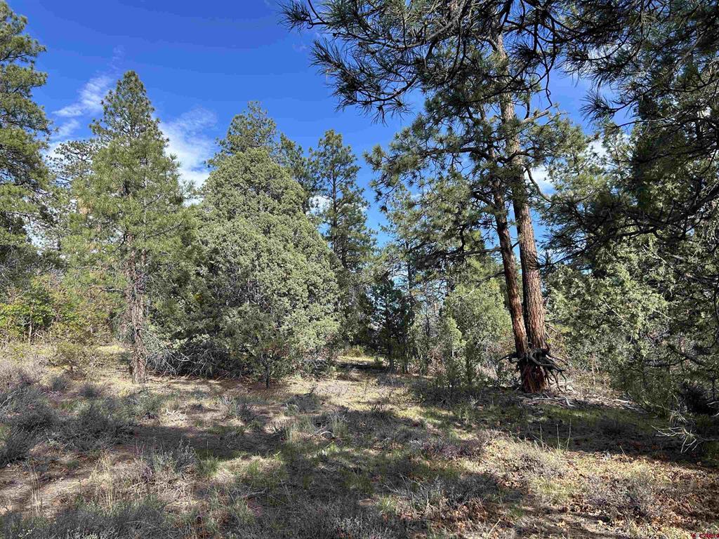 1333 Doc Adams Road Pagosa Springs CO 81147
