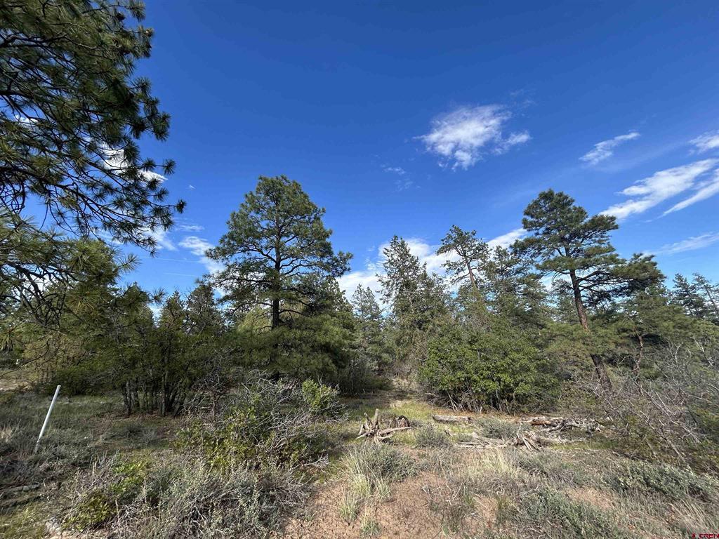 1333 Doc Adams Road Pagosa Springs CO 81147