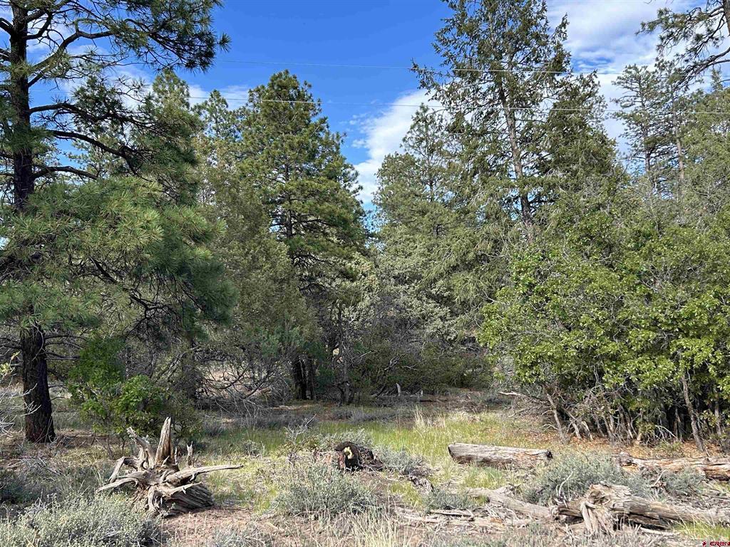 1333 Doc Adams Road Pagosa Springs CO 81147