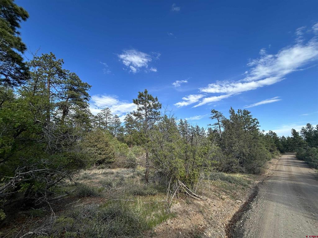 1333 Doc Adams Road Pagosa Springs CO 81147
