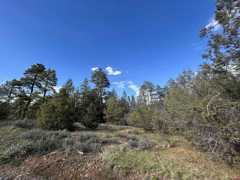 1333 Doc Adams Road Pagosa Springs CO 81147