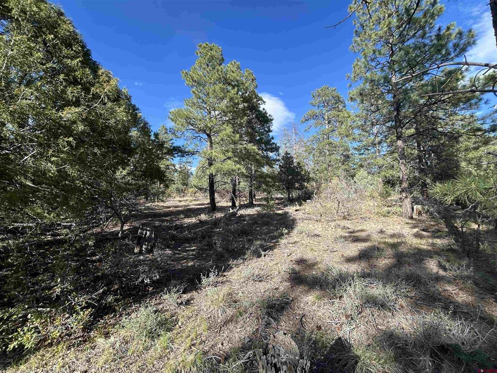 1333 Doc Adams Road Pagosa Springs CO 81147