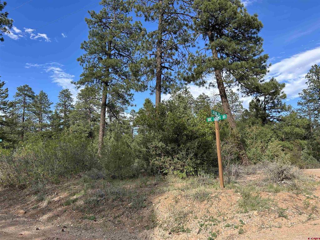 1333 Doc Adams Road Pagosa Springs CO 81147