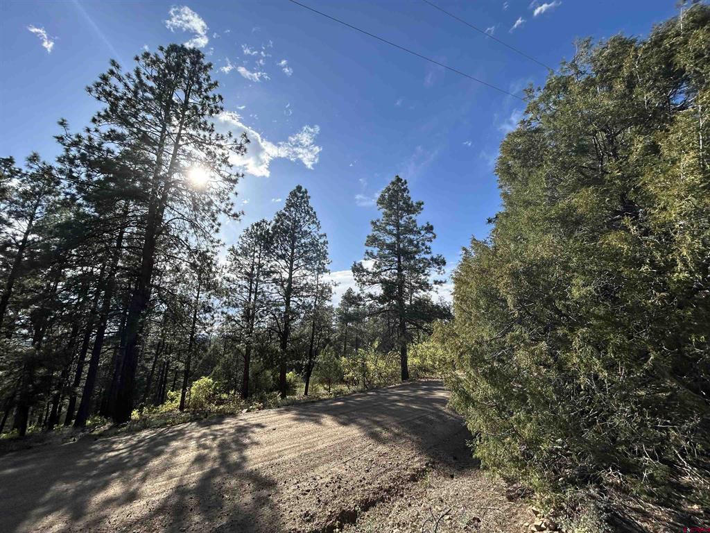 1333 Doc Adams Road Pagosa Springs CO 81147