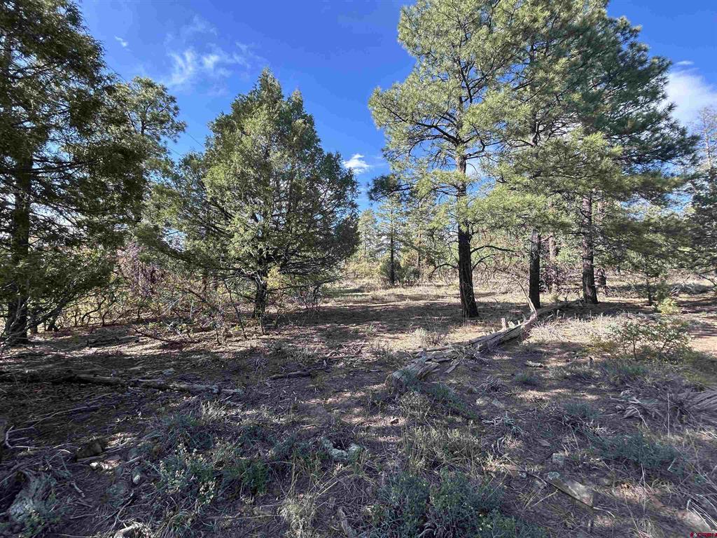1333 Doc Adams Road Pagosa Springs CO 81147