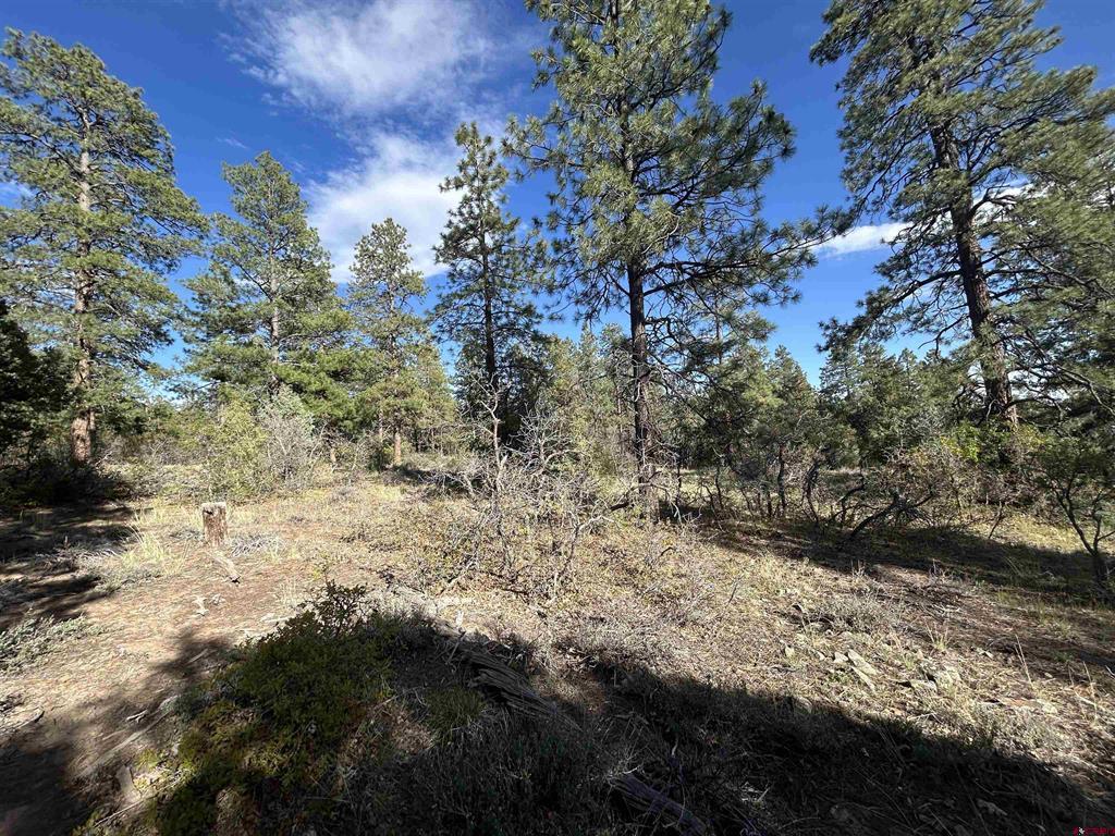 1333 Doc Adams Road Pagosa Springs CO 81147