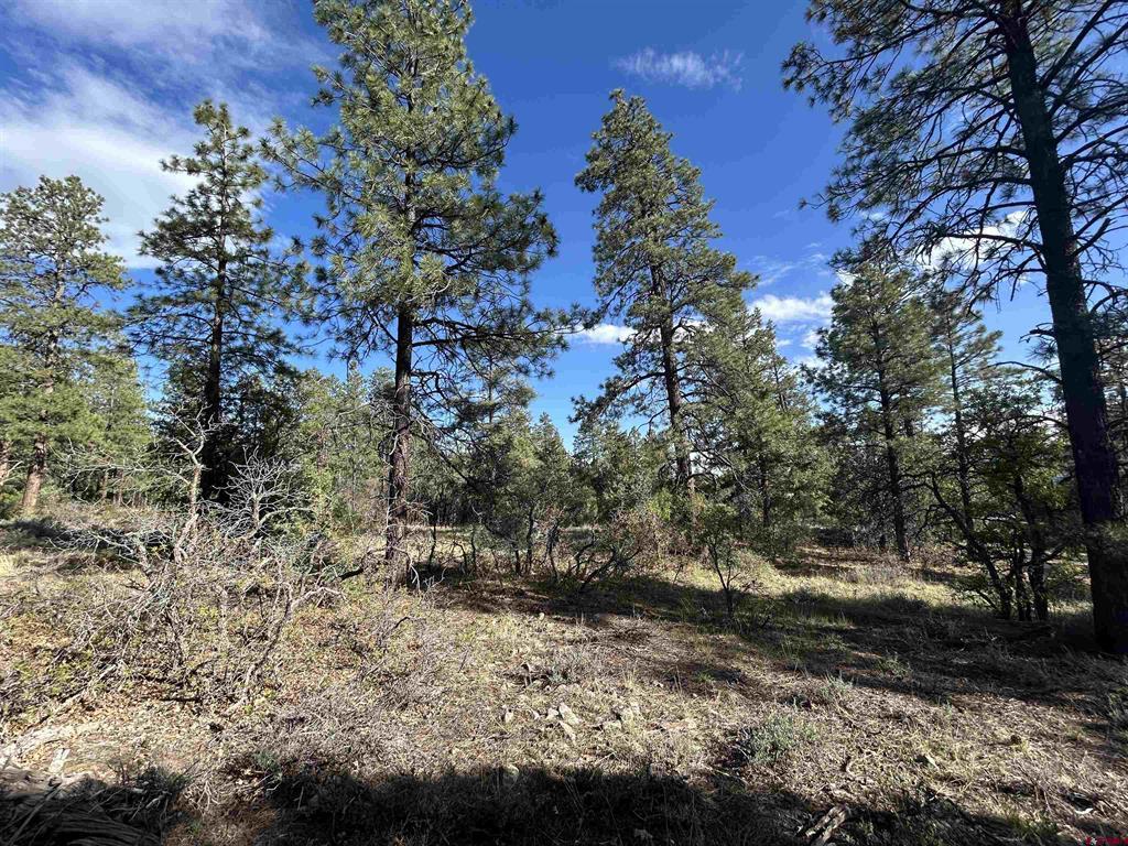 1333 Doc Adams Road Pagosa Springs CO 81147