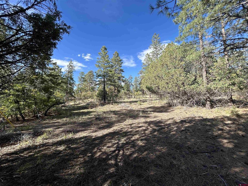 1333 Doc Adams Road Pagosa Springs CO 81147