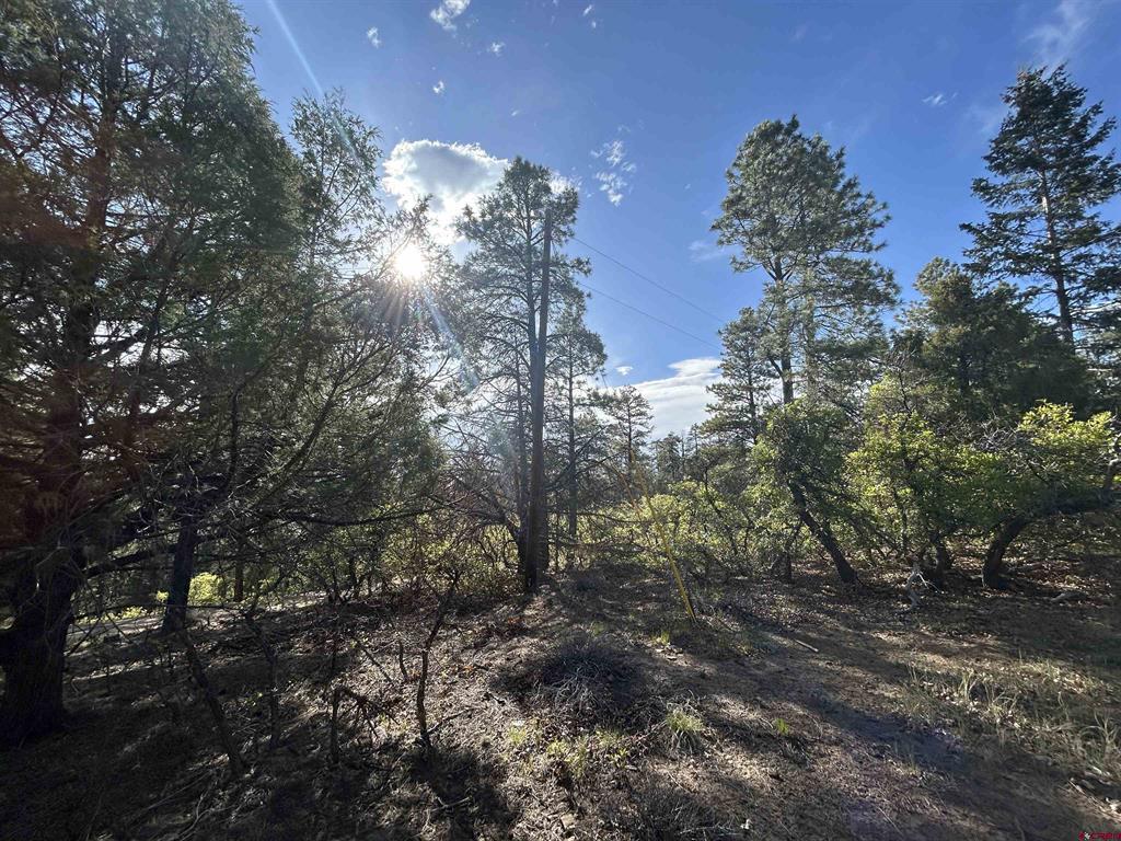 1333 Doc Adams Road Pagosa Springs CO 81147