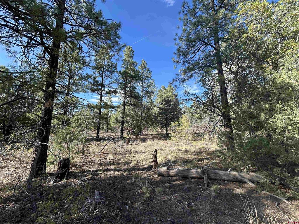 1333 Doc Adams Road Pagosa Springs CO 81147
