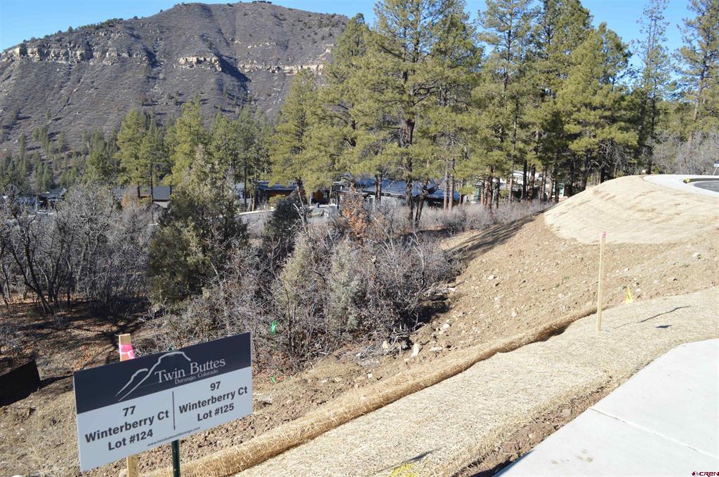 97 Winterberry Court (Lot 125) Durango CO 81301