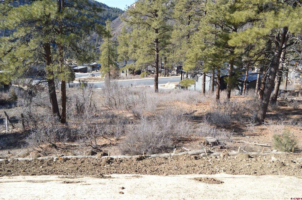 97 Winterberry Court (Lot 125) Durango CO 81301