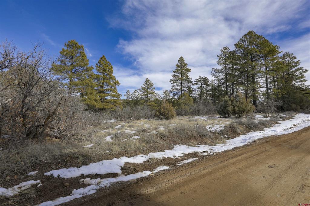 783 Gun Barrel Road Pagosa Springs CO 81147