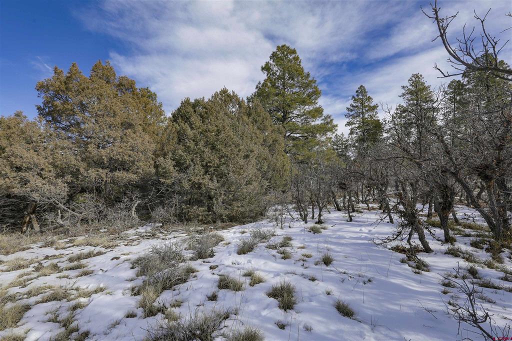 783 Gun Barrel Road Pagosa Springs CO 81147