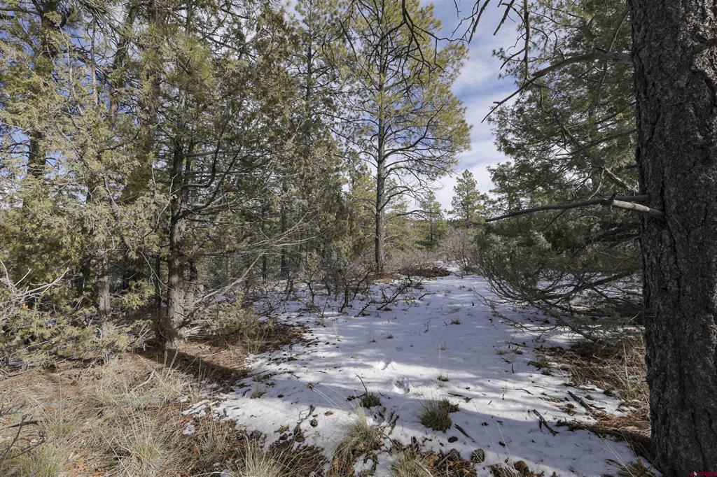 783 Gun Barrel Road Pagosa Springs CO 81147