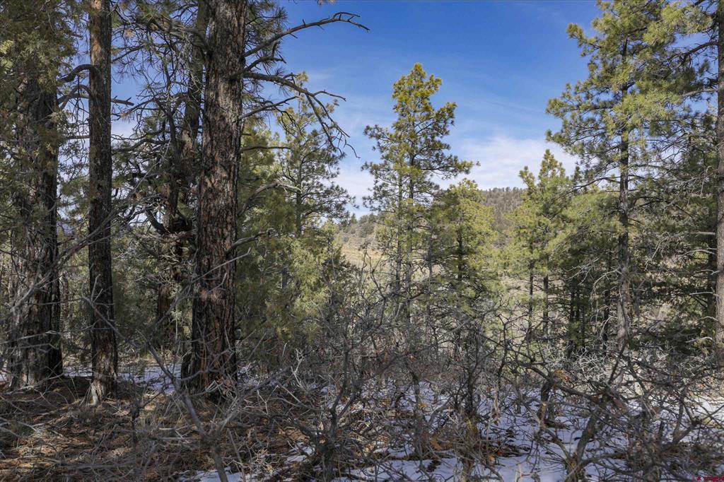 783 Gun Barrel Road Pagosa Springs CO 81147