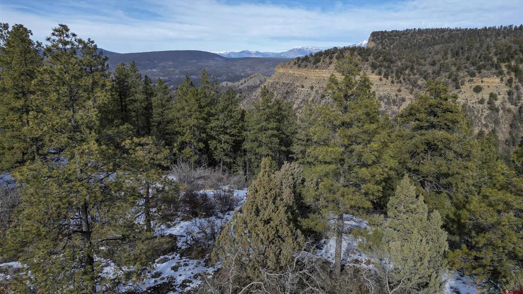 783 Gun Barrel Road Pagosa Springs CO 81147