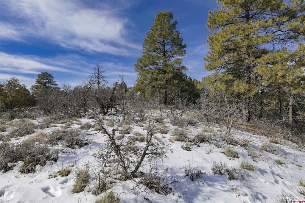 783 Gun Barrel Road Pagosa Springs CO 81147