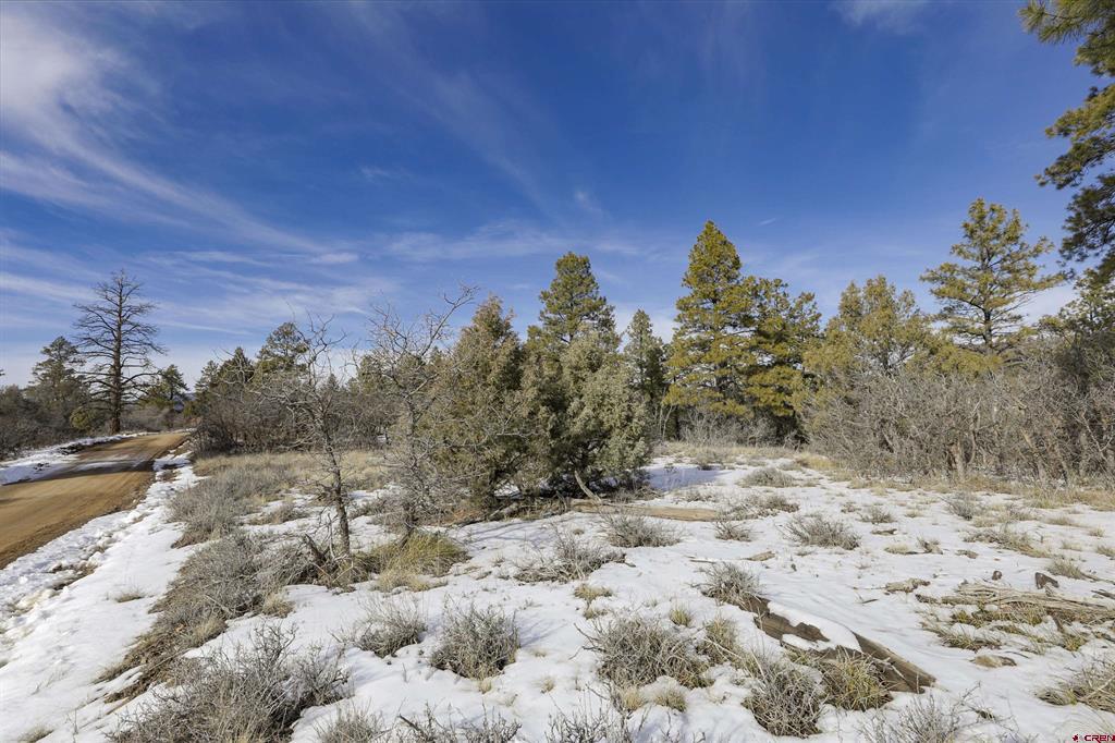 783 Gun Barrel Road Pagosa Springs CO 81147