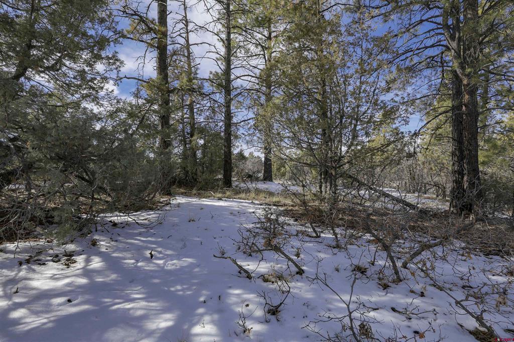 783 Gun Barrel Road Pagosa Springs CO 81147