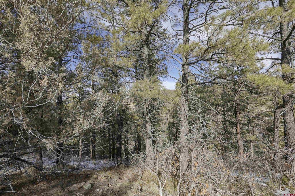 783 Gun Barrel Road Pagosa Springs CO 81147