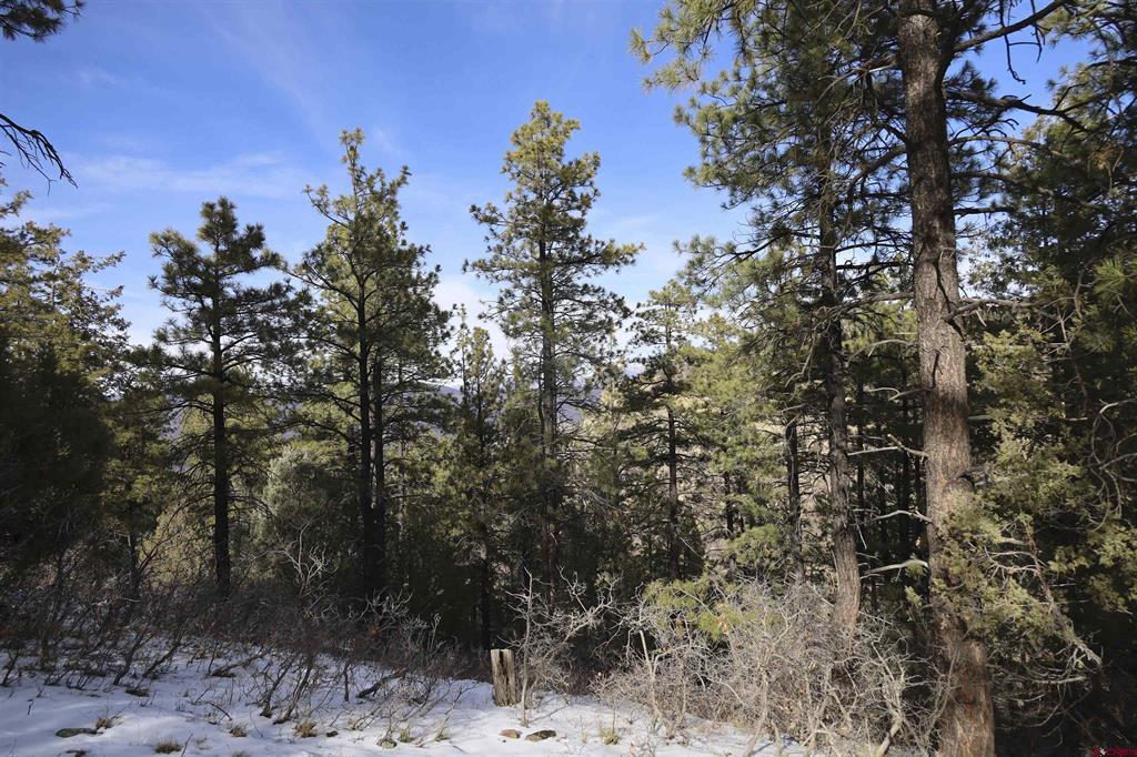783 Gun Barrel Road Pagosa Springs CO 81147