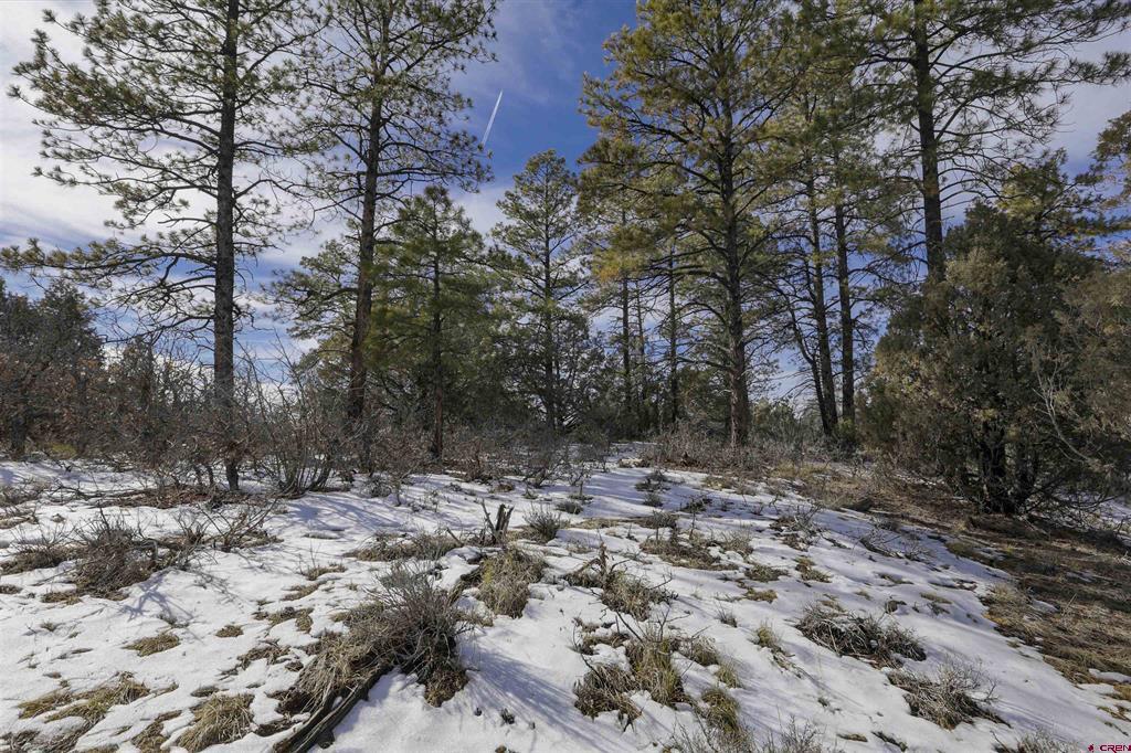 783 Gun Barrel Road Pagosa Springs CO 81147