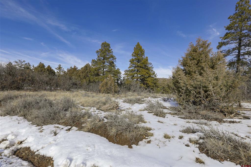 783 Gun Barrel Road Pagosa Springs CO 81147